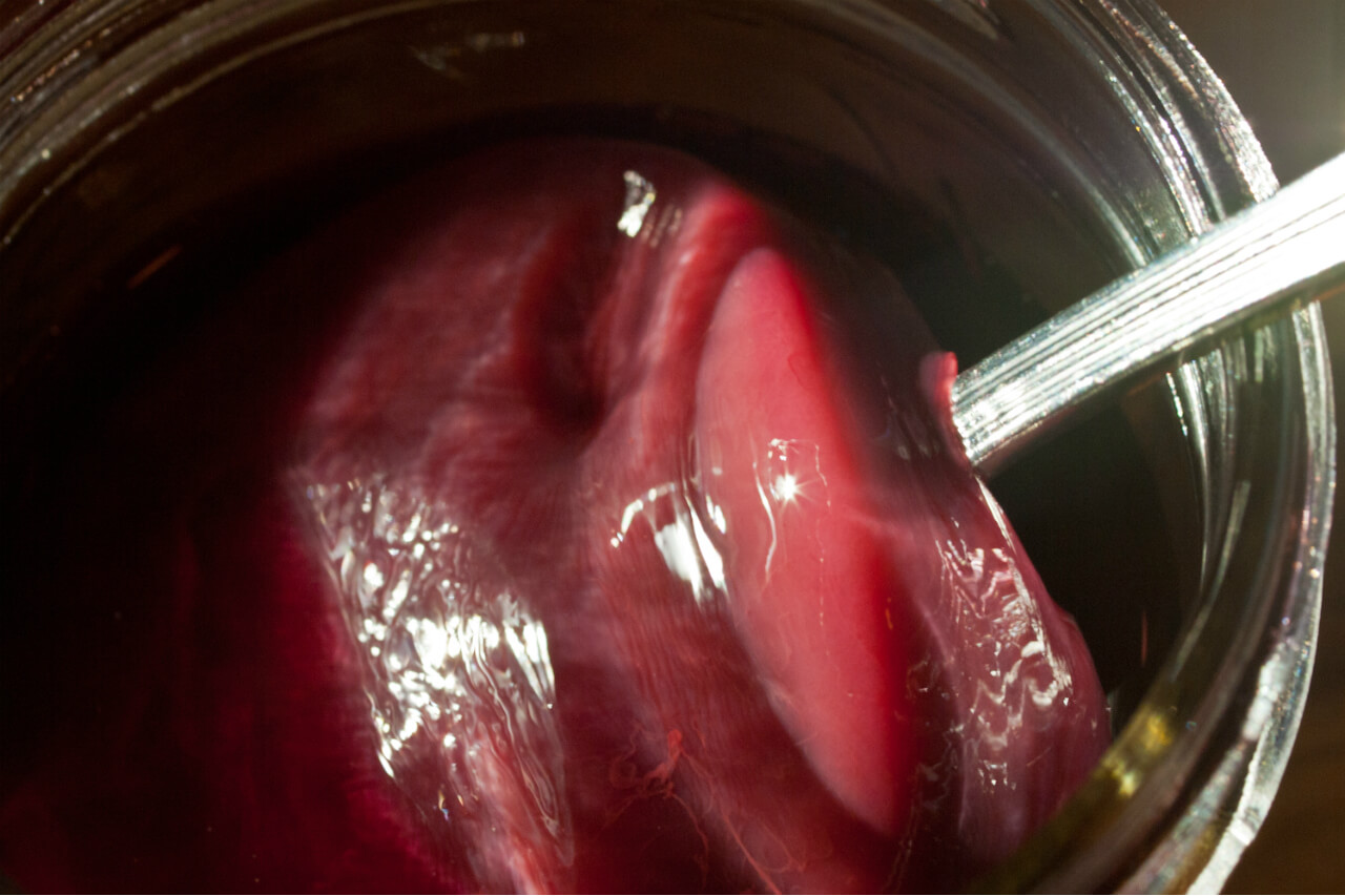 A thick vinegar mother in my kitchen. Credit: Copyright 2015 Susan Lutz