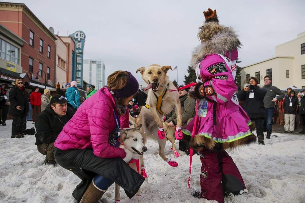 Alaskan musher DeeDee Jonrowe and Senator Lisa Murkowski get ready to head to the ceremonial start of the Iditarod Trail Sled Dog Race in downtown Anchorage, Alaska March 5, 2016. REUTERS/Nathaniel Wilder