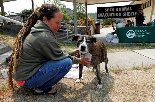 Soberanes Fire evacuee Stephanie Shelley comforts Spike, her 14-year-old dog, at the SPCA Animal Evacuation Shelter in Carmel, California, U.S. July 27, 2016. REUTERS/Michael Fiala